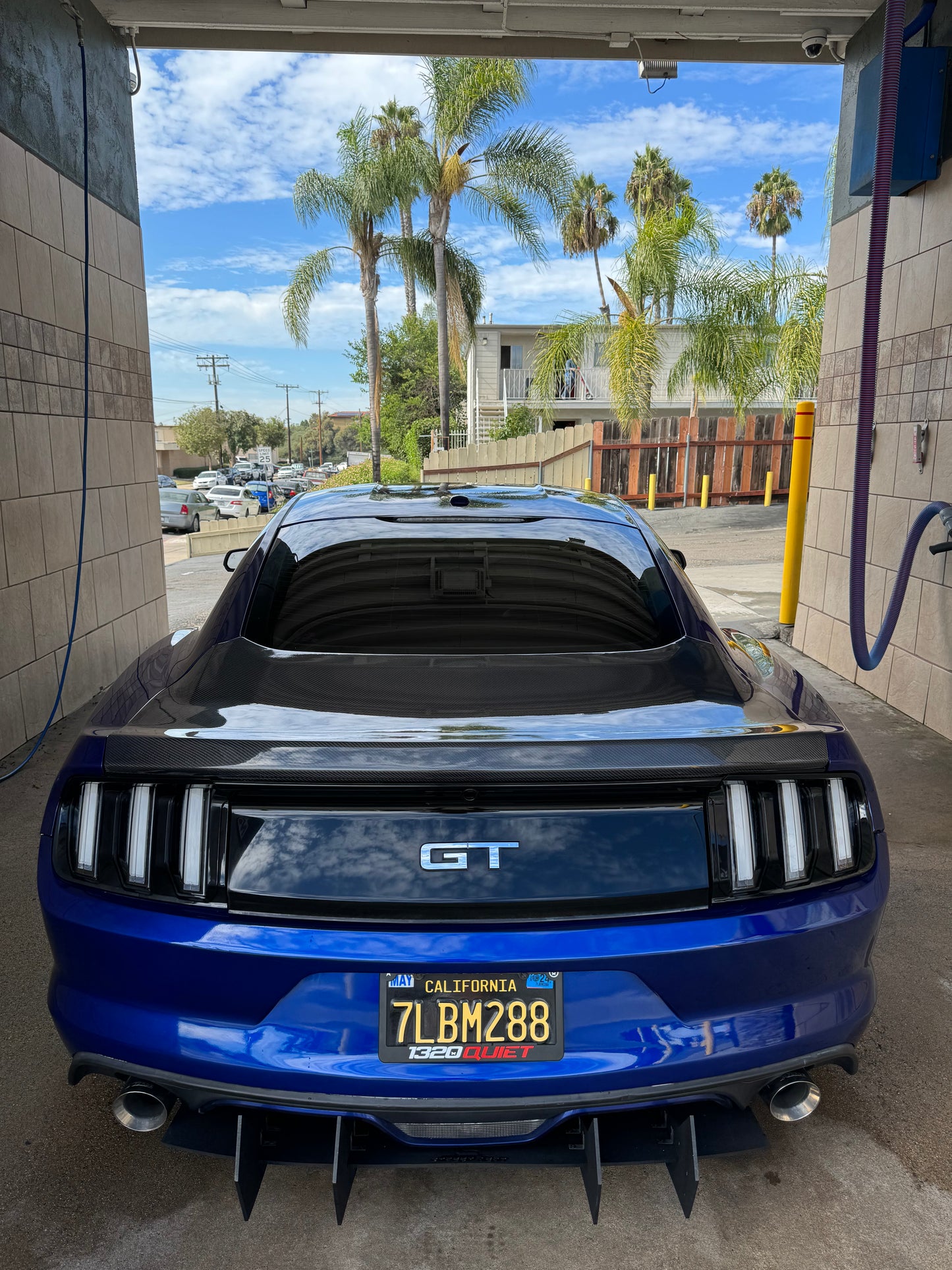 Mustang OEM Carbon Fiber Trunk