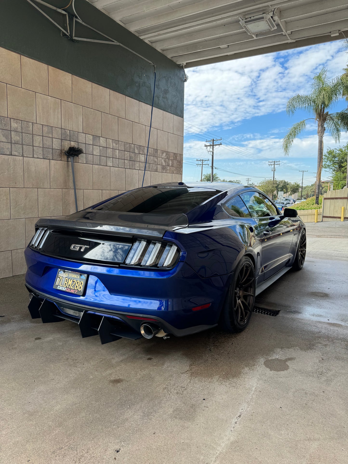 Mustang OEM Carbon Fiber Trunk