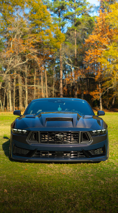 2024 Carbon Fiber Terminator Hood