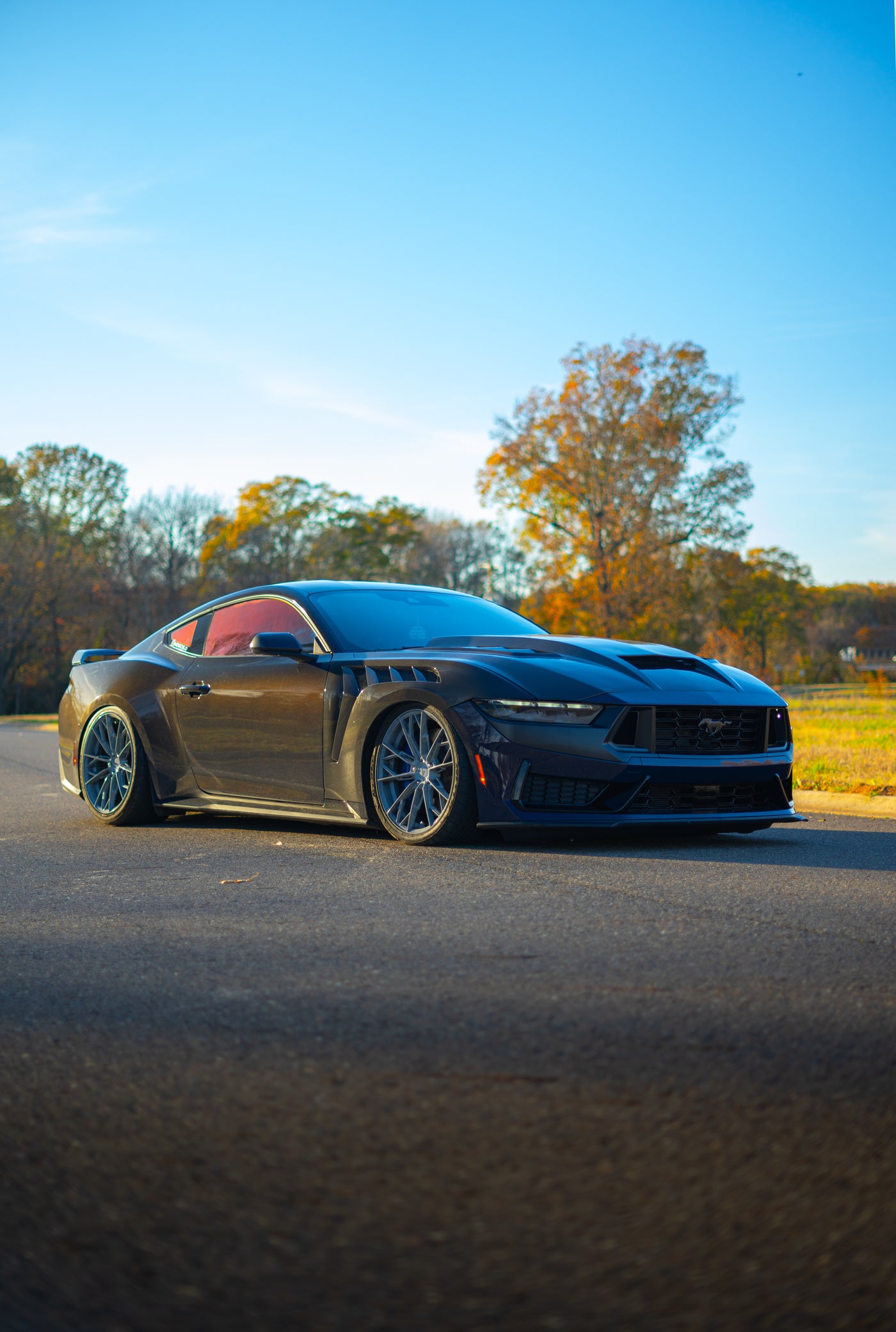 2024 Carbon Fiber Terminator Hood