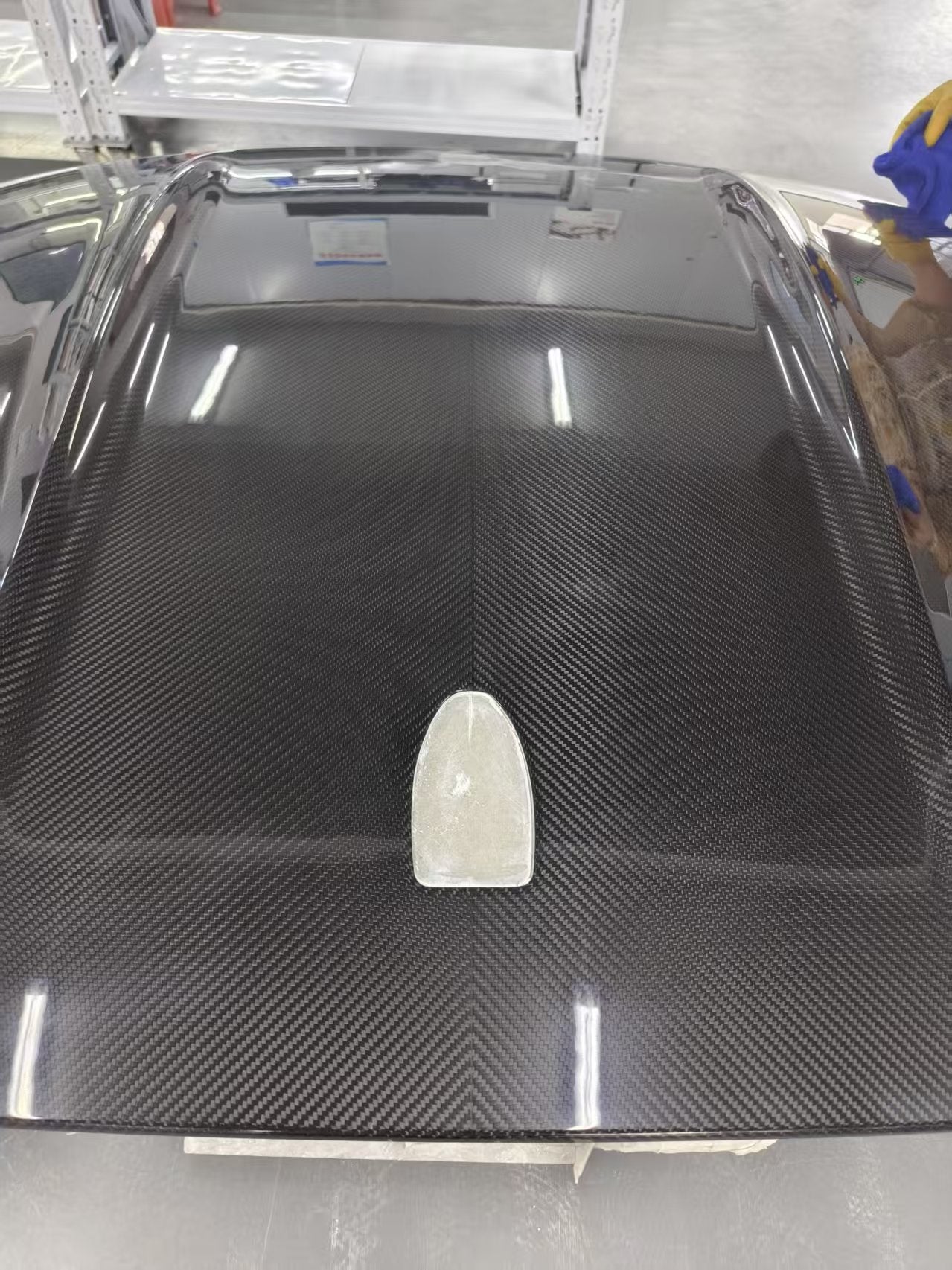 Carbon Fiber Roof