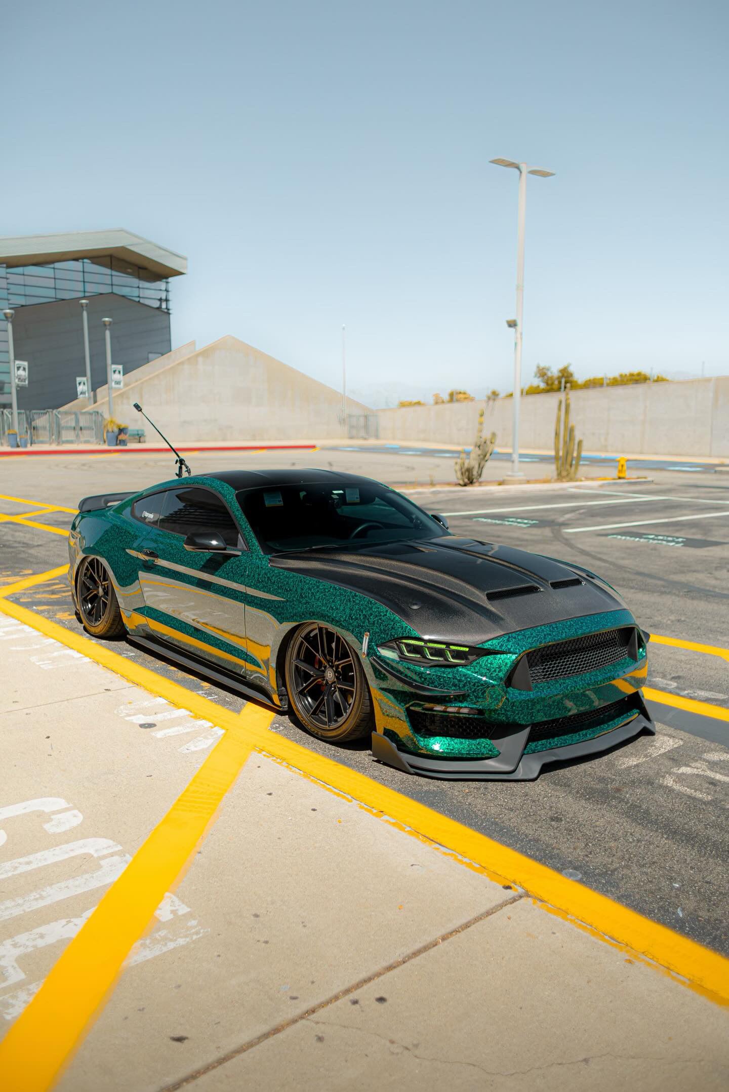 Mustang Super Snake Hood