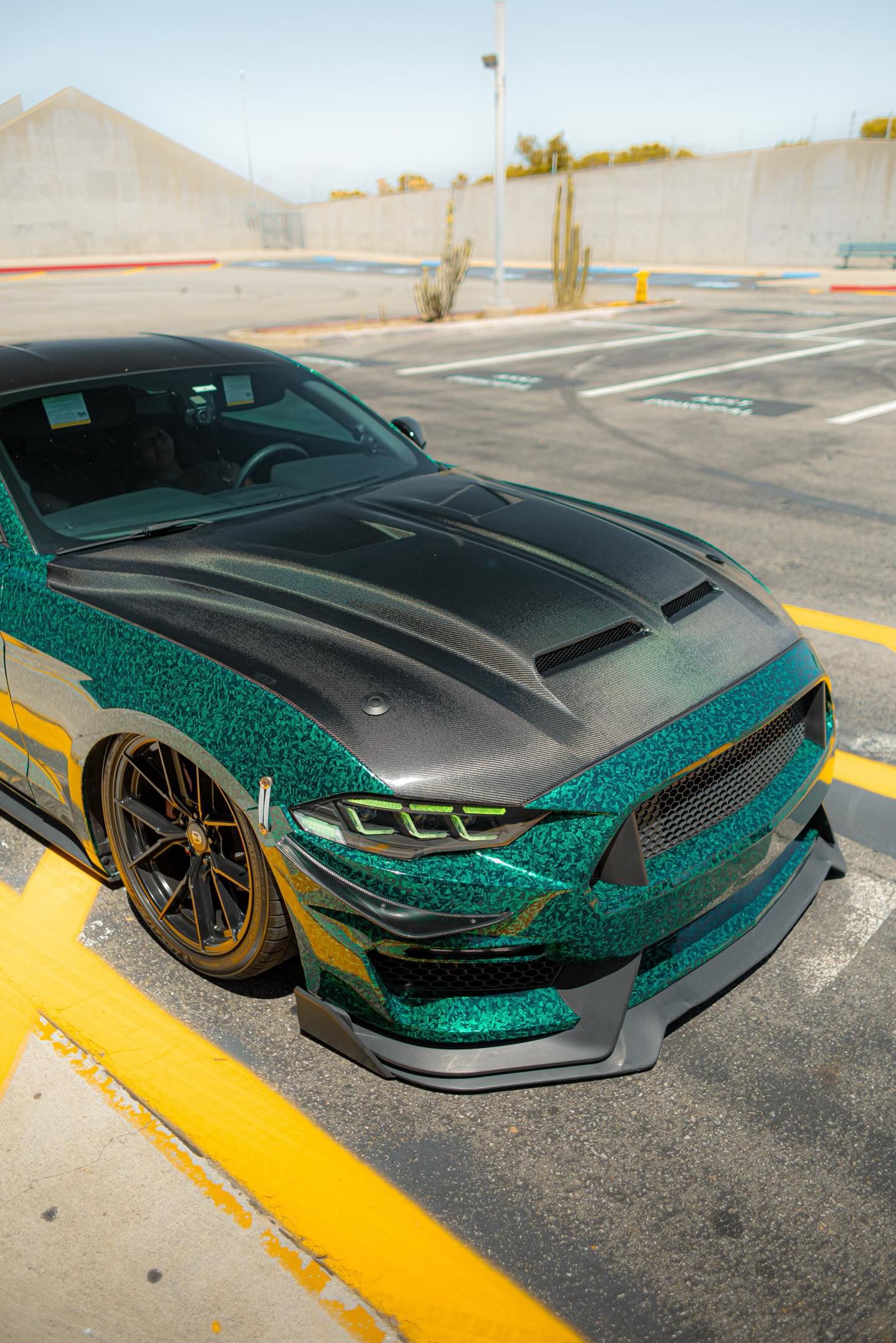 Mustang Super Snake Hood