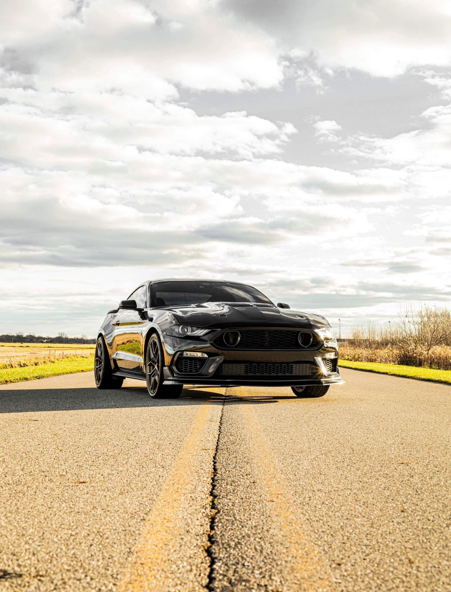 Mustang Mach 1 Style Bumper