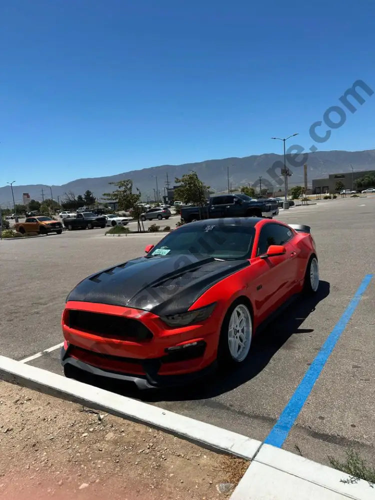 Mustang Ams Hood