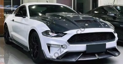 Mustang Terminator Hood